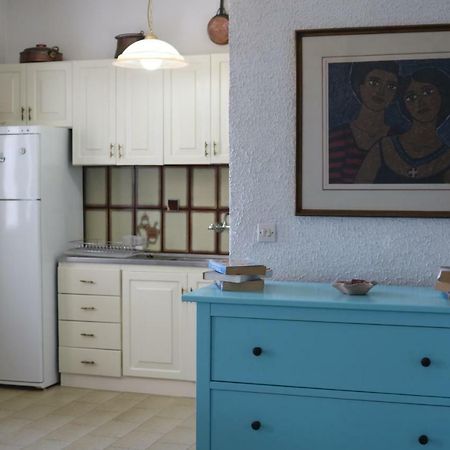 Lefkada Beachfront Apartment 尼基亚娜 外观 照片