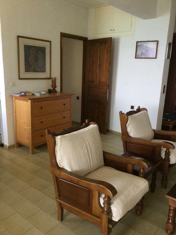 Lefkada Beachfront Apartment 尼基亚娜 外观 照片