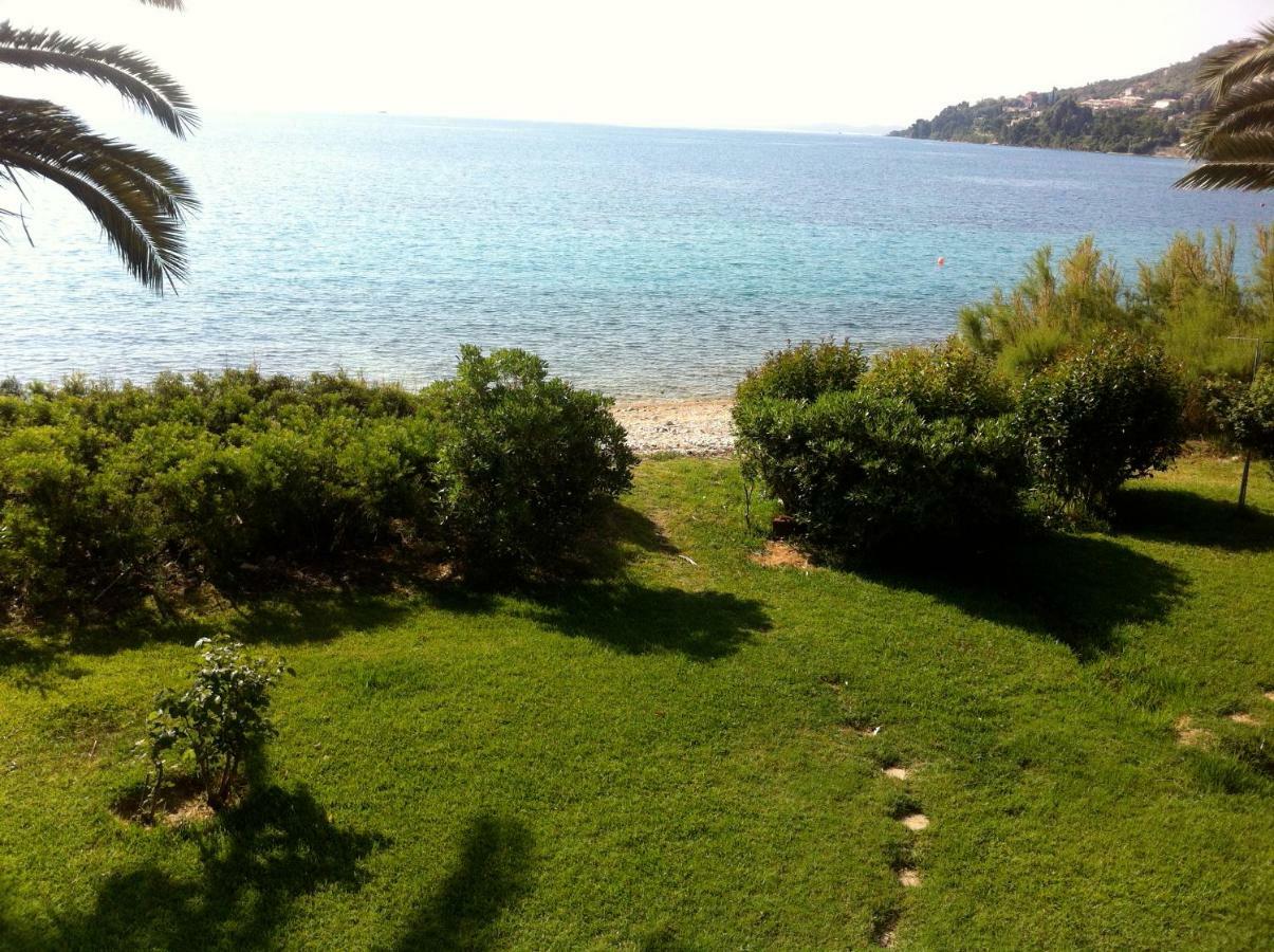 Lefkada Beachfront Apartment 尼基亚娜 外观 照片