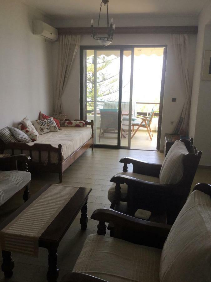 Lefkada Beachfront Apartment 尼基亚娜 外观 照片