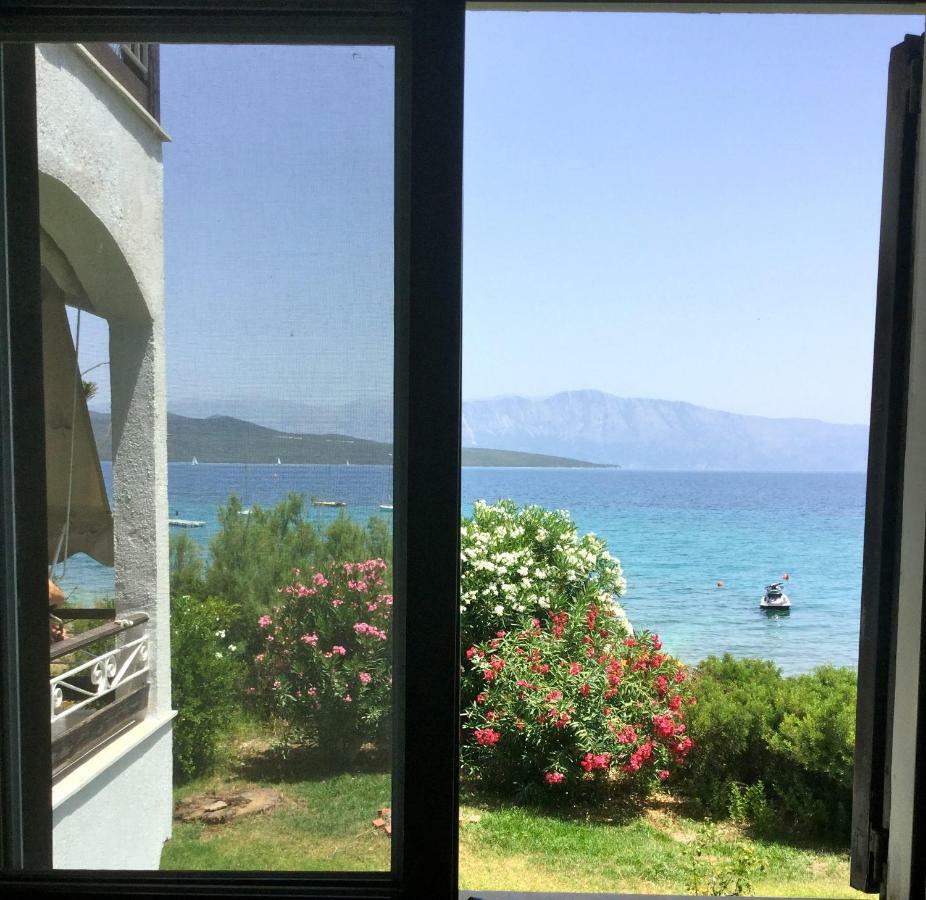 Lefkada Beachfront Apartment 尼基亚娜 外观 照片