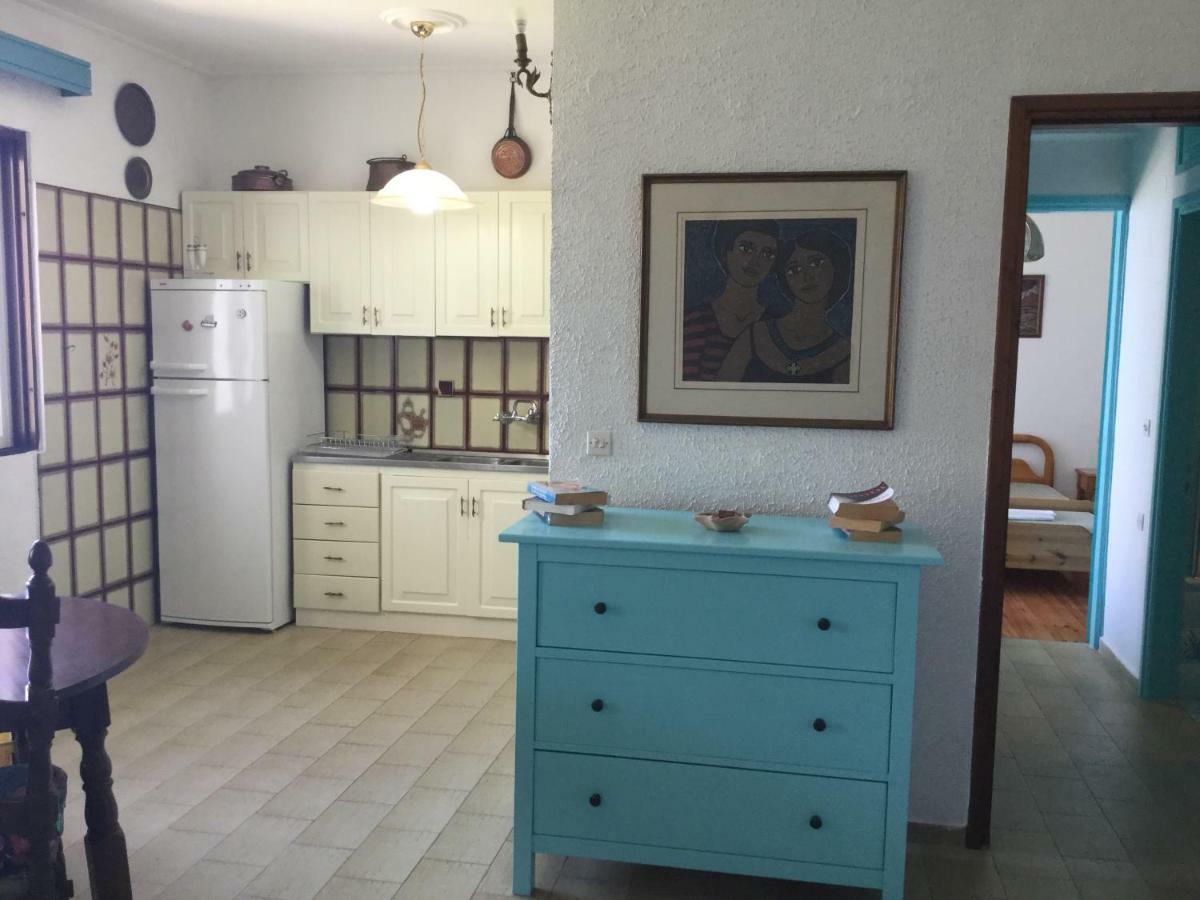 Lefkada Beachfront Apartment 尼基亚娜 外观 照片